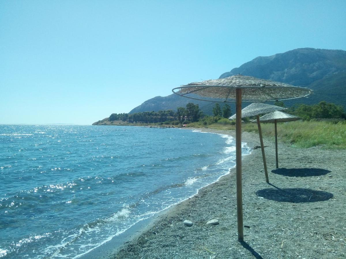 Villa The Platanus Tree Kato Vasiliki Ngoại thất bức ảnh