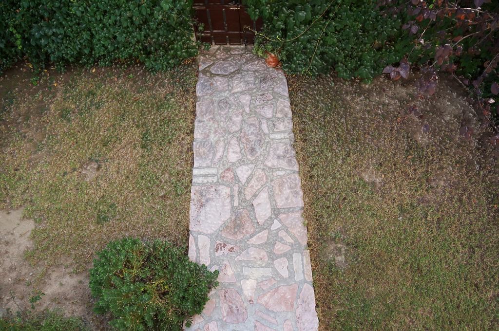 Villa The Platanus Tree Kato Vasiliki Ngoại thất bức ảnh