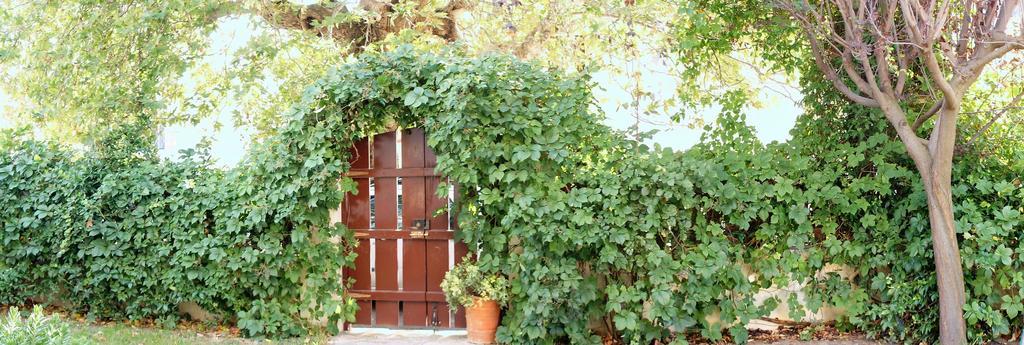 Villa The Platanus Tree Kato Vasiliki Ngoại thất bức ảnh