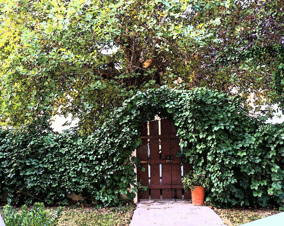 Villa The Platanus Tree Kato Vasiliki Ngoại thất bức ảnh